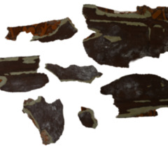 Wall plaster and wallpaper samples