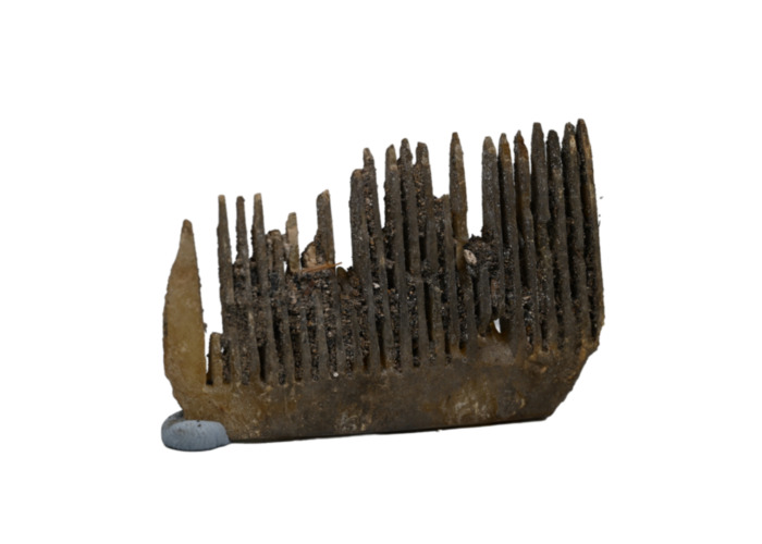 Comb