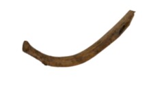 Bone Fragment